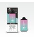 STRAWBERRY İCE CREAM