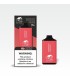 WATERMELON BUBBLEGUM