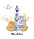 MELON ICE