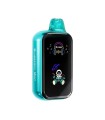 Blueberry Mint