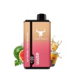 Watermelon Ice / Red Bull Ice