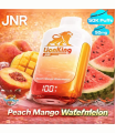 Peach Mango Watermelon - JNR Lion King 50000 Puffs