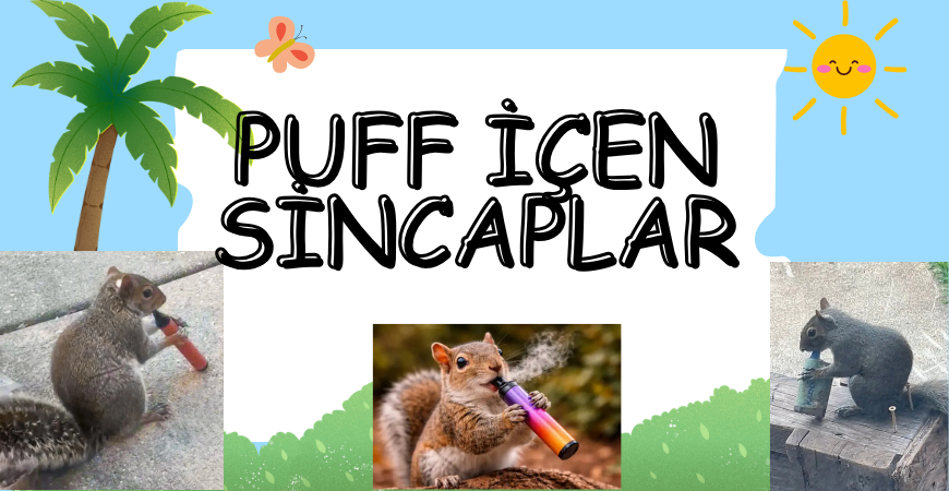 Amerika ve İngiltere’de Viral Olan “Puff İçen Sincap” Videosu: Komik Görünüyor Ama Asıl Mesaj Ne?